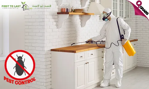 Shield Your Space with Pest Control Treatment!